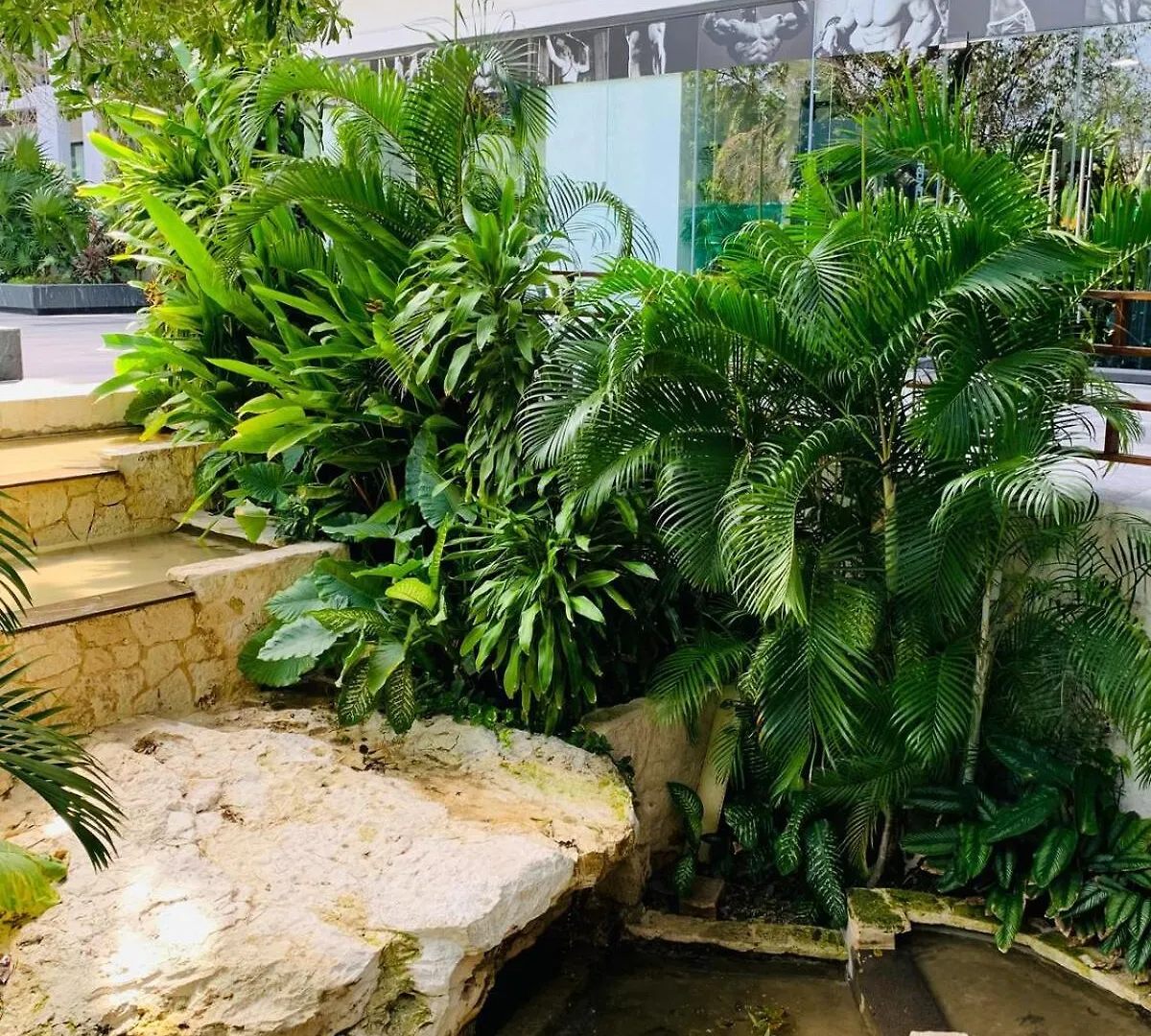 Ipana Playa Carmen 4 Pools And Gym Appartement Playa del Carmen 0*,